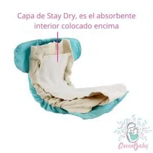 blueberry-simplex-capa-siempre-seco