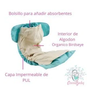 greenbaby-blueberry-simplex-interior