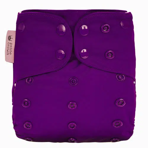 Eggplant