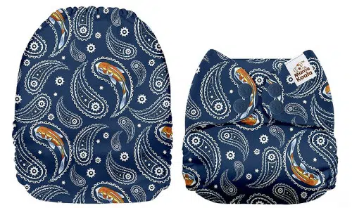 Paisley