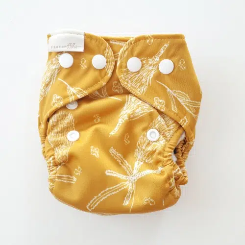 Colección Native Flora: Espigas