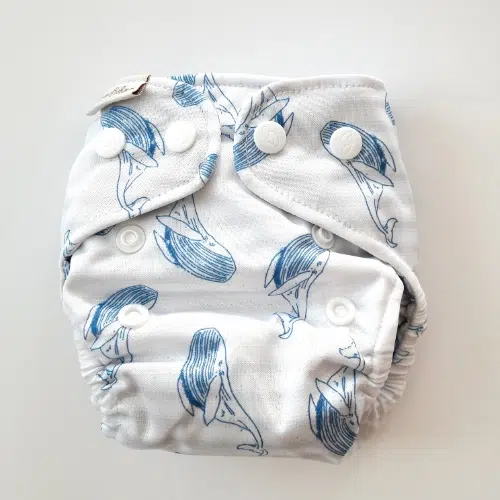 Colección Coastal: Ballenas