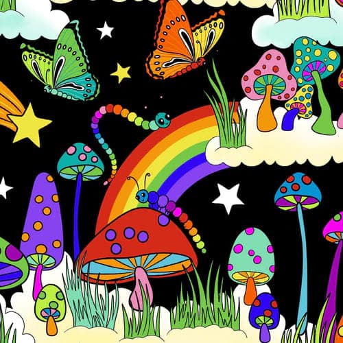 Toadstools-and-Rainbows